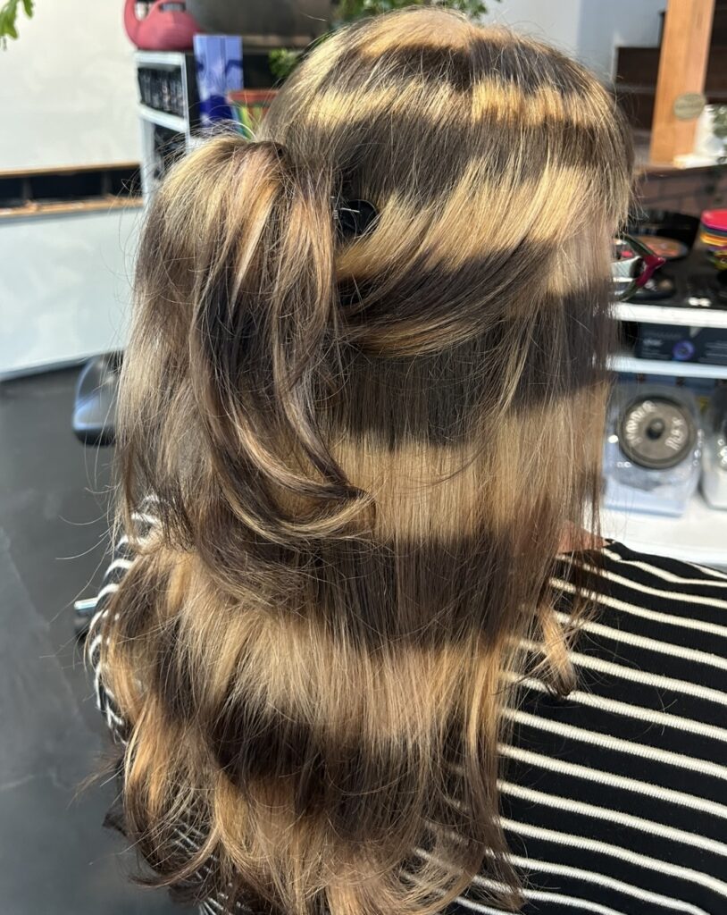 raccoon stripes alternative hairstylist Austin
